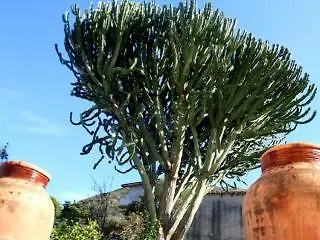 Bouganville B&B Cefalù 3*,